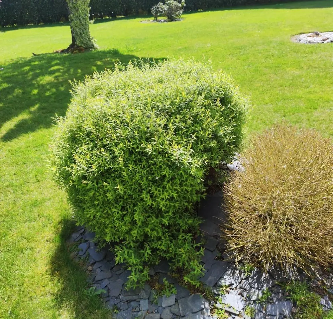 Bed and Breakfast Pleuca'Dort Pleucadeuc Nocleg ze śniadaniem
